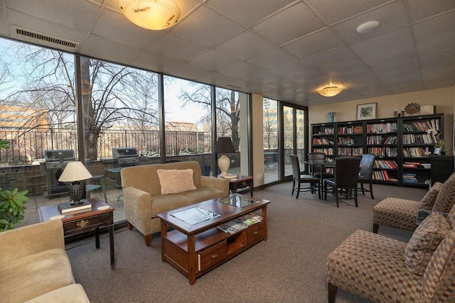 207 5th Ave SW Unit 407, Rochester, MN 55902 - living room with floor to ceiling windows, a paneled ceiling, and carpet floors