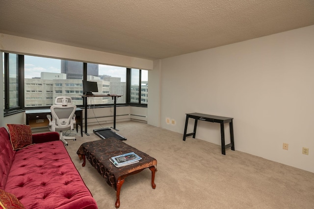 207 5th Ave SW Unit 407, Rochester, MN 55902 - living room with an office area, carpet, a baseboard heating unit, and a textured ceiling