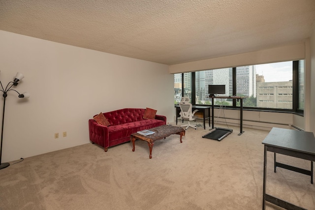 207 5th Ave SW Unit 407, Rochester, MN 55902 - carpeted living area featuring a baseboard radiator, a textured ceiling, and a desk