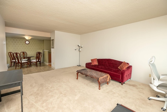 207 5th Ave SW Unit 407, Rochester, MN 55902 - office area with carpet flooring and a textured ceiling