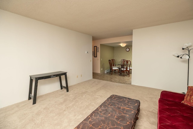 207 5th Ave SW Unit 407, Rochester, MN 55902 - carpeted living room with a textured ceiling