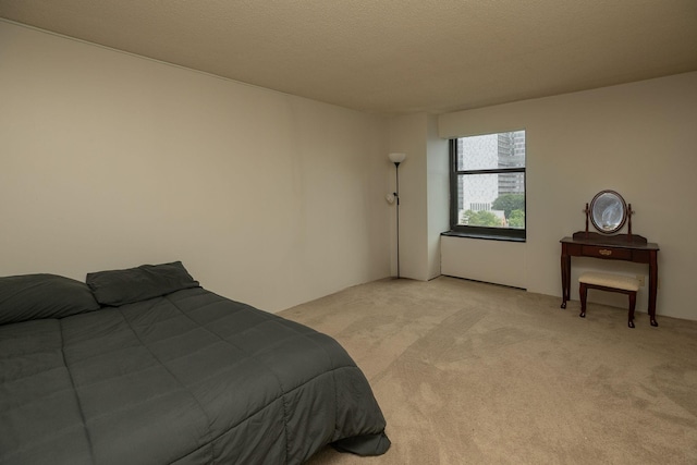 207 5th Ave SW Unit 407, Rochester, MN 55902 - bedroom with light carpet