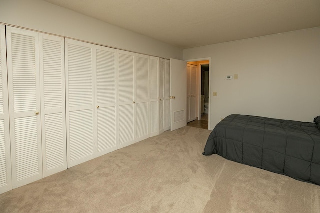 207 5th Ave SW Unit 407, Rochester, MN 55902 - carpeted bedroom featuring a closet