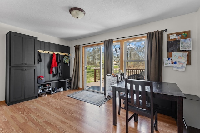 30432 Pinewood Dr, Breezy Point, MN 56472 - dining space with light wood-style flooring and a textured ceiling