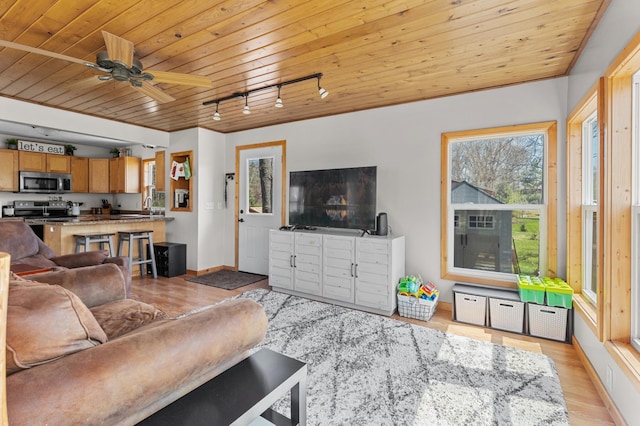30432 Pinewood Dr, Breezy Point, MN 56472 - living room with wood ceiling, plenty of natural light, light wood finished floors, track lighting, and ceiling fan