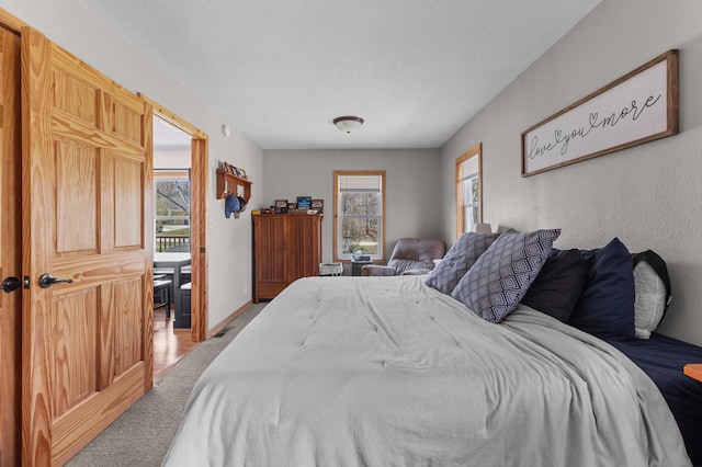 30432 Pinewood Dr, Breezy Point, MN 56472 - bedroom featuring multiple windows and carpet flooring