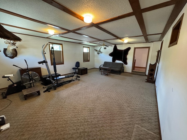 753 Mark St, Winona, MN 55987 - workout area with carpet floors, baseboards, and a textured ceiling