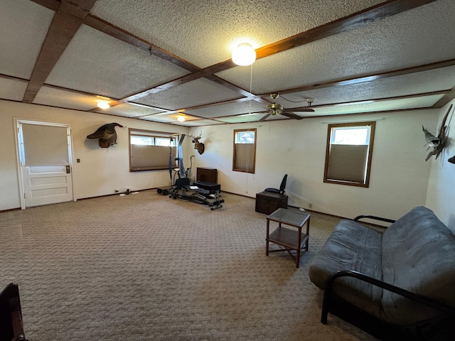 753 Mark St, Winona, MN 55987 - exercise room with a ceiling fan, carpet floors, and baseboards