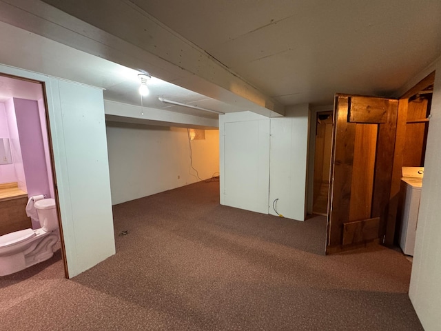 753 Mark St, Winona, MN 55987 - finished below grade area featuring carpet and washer / clothes dryer
