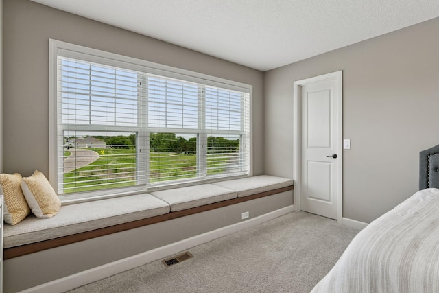 4418 Ashton Curv, Woodbury, MN 55129 - photo 42