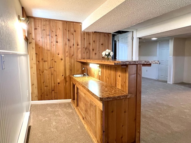 indoor wet bar with carpet flooring, a textured ceiling, wood walls, and baseboards