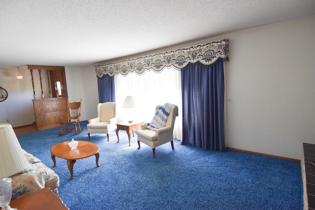13946 151st St NE, Thief River Falls, MN 56701 - sitting room featuring carpet and a textured ceiling