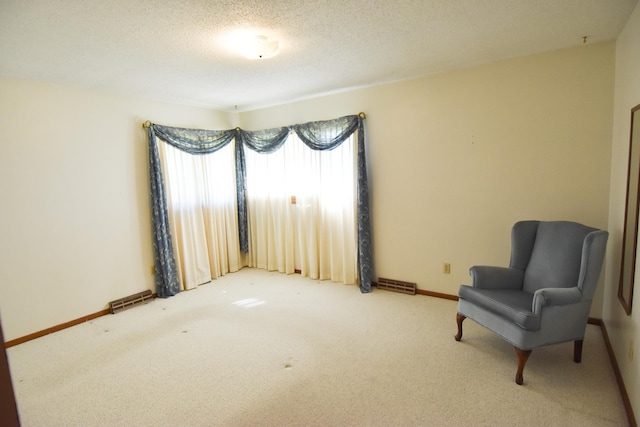 13946 151st St NE, Thief River Falls, MN 56701 - living area featuring carpet, baseboards, and a textured ceiling