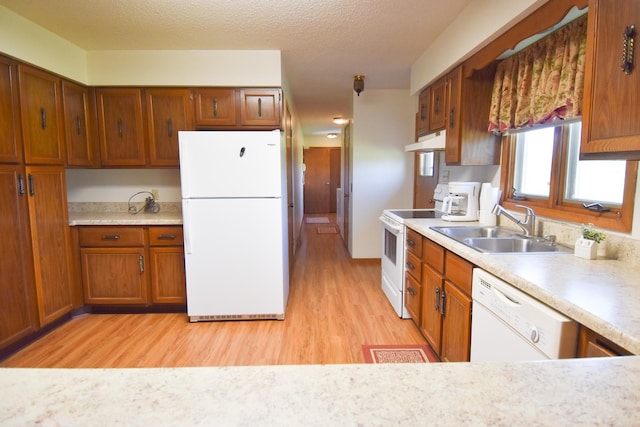 13946 151st St NE, Thief River Falls, MN 56701 - kitchen featuring white appliances, under cabinet range hood, a sink, and light wood-style flooring