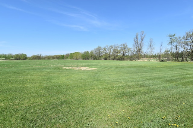 13946 151st St NE, Thief River Falls, MN 56701 - view of green lawn