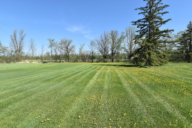 13946 151st St NE, Thief River Falls, MN 56701 - view of grassy yard