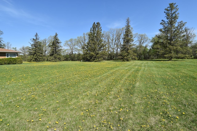 13946 151st St NE, Thief River Falls, MN 56701 - view of green lawn