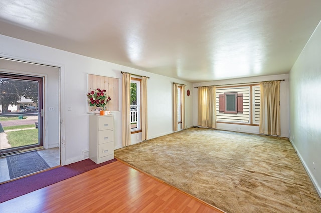 1202 Webster St, Fairmont, MN 56031 - entrance foyer with carpet, wood finished floors, and baseboards