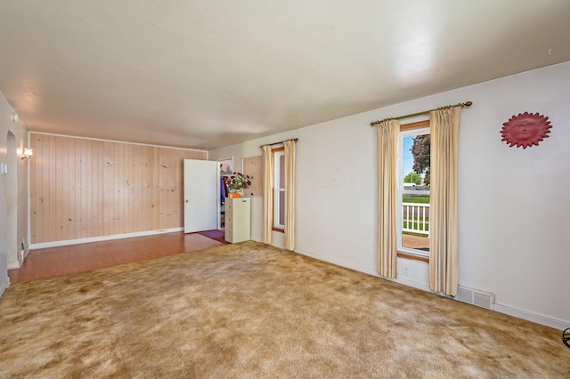 1202 Webster St, Fairmont, MN 56031 - spare room featuring baseboards, carpet, and wooden walls