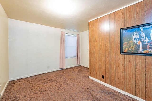 1202 Webster St, Fairmont, MN 56031 - spare room featuring carpet, wooden walls, and baseboards