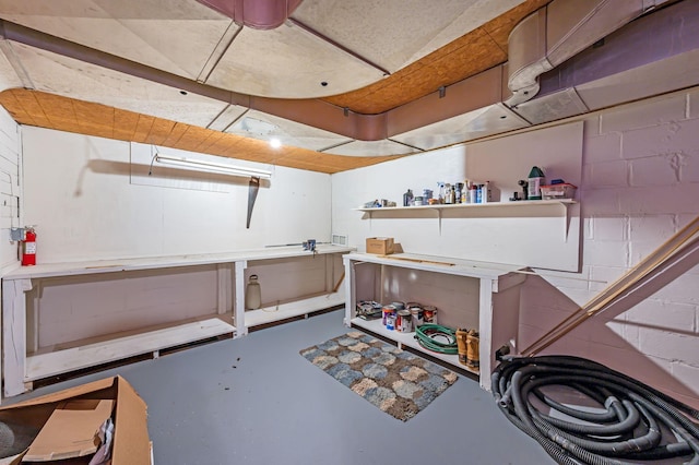 1202 Webster St, Fairmont, MN 56031 - miscellaneous room with a workshop area, concrete floors, and concrete block wall