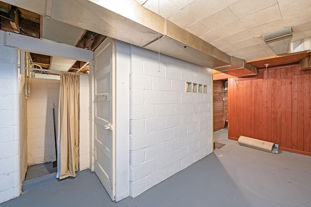 1202 Webster St, Fairmont, MN 56031 - unfinished below grade area with concrete block wall and wood walls