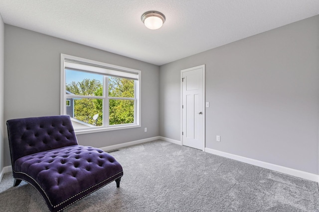 9222 Bridle Way, Victoria, MN 55386 - living area featuring carpet and baseboards