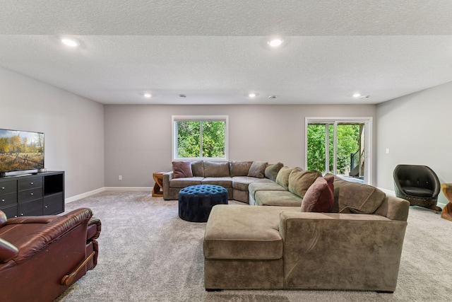 9222 Bridle Way, Victoria, MN 55386 - living room with carpet floors, recessed lighting, baseboards, and a textured ceiling