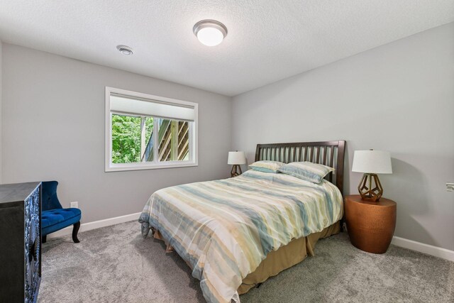 9222 Bridle Way, Victoria, MN 55386 - carpeted bedroom featuring baseboards and a textured ceiling