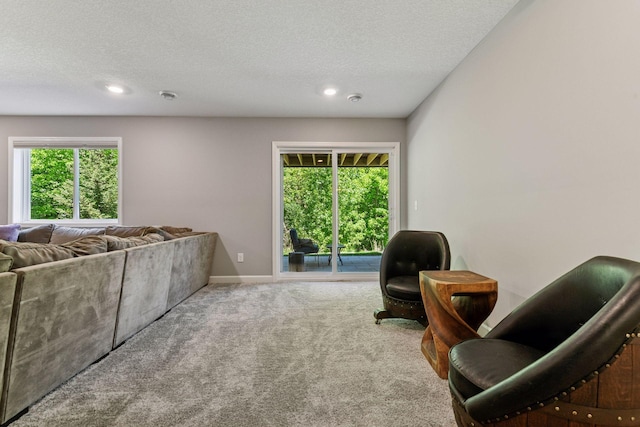 9222 Bridle Way, Victoria, MN 55386 - carpeted living room featuring a textured ceiling, plenty of natural light, recessed lighting, and baseboards