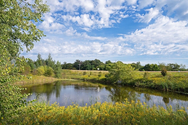9222 Bridle Way, Victoria, MN 55386 - water view