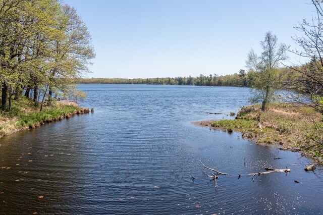 27382 Greenwood Isle Cir, Deerwood, MN 56444 - photo 5