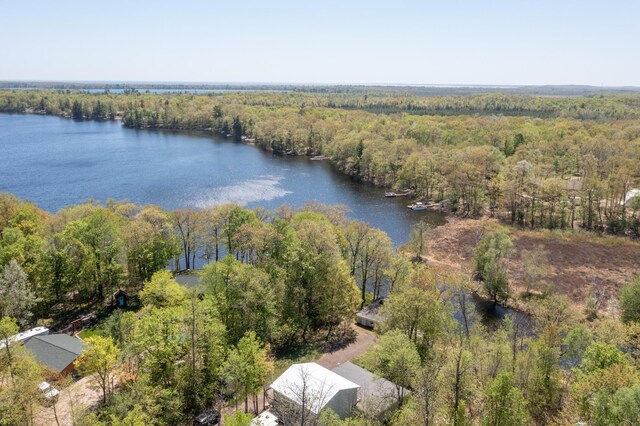 27382 Greenwood Isle Cir, Deerwood, MN 56444 - photo 9
