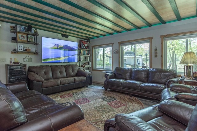 27382 Greenwood Isle Cir, Deerwood, MN 56444 - photo 26