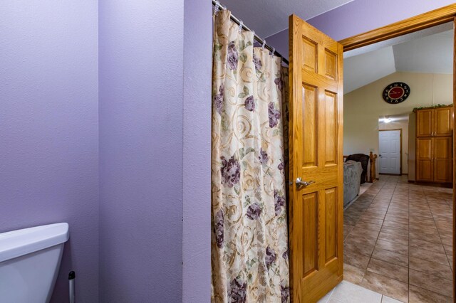 22842 530th St, Milton Twp, MN 55985 - full bathroom featuring lofted ceiling, toilet, tile patterned floors, and a shower with curtain