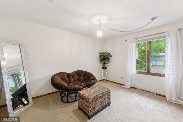 189 Glenmoor Ln, Long Lake, MN 55356 - photo 31