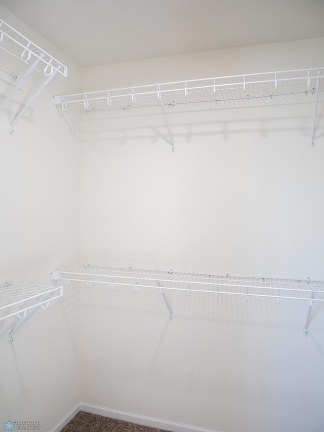 10302 Burgundy Dr, Horace, ND 58047 - walk in closet featuring carpet floors