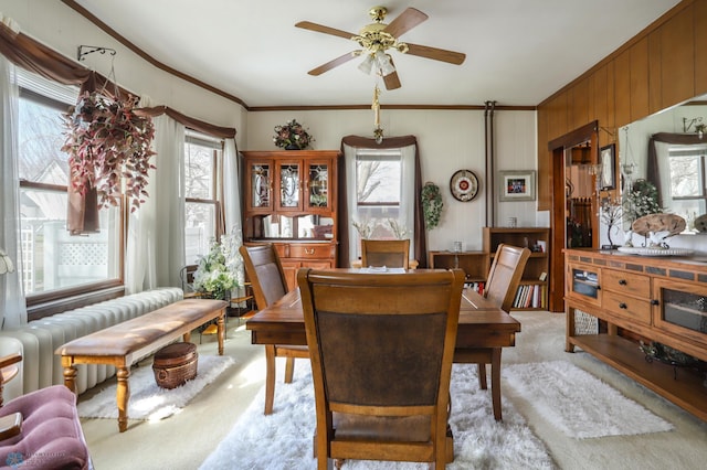 dining room featuring light colored carpet, crown molding, ceiling fan, and wooden walls