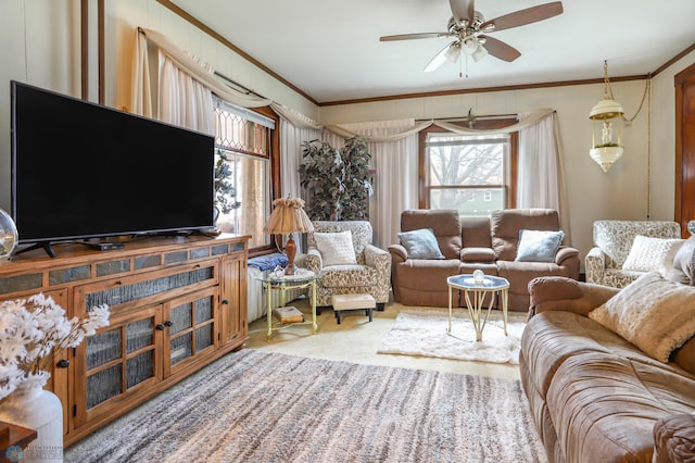 living room featuring ornamental molding, ceiling fan, and carpet flooring