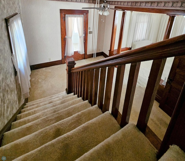 stairs featuring carpet floors, baseboards, and a ceiling fan