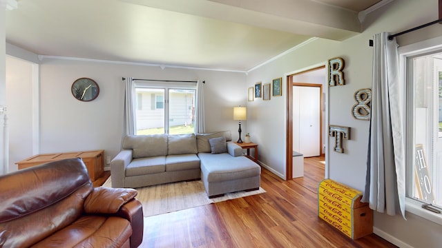 living area with healthy amount of natural light, wood finished floors, ornamental molding, and baseboards