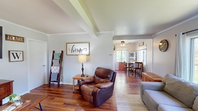 living room with plenty of natural light, wood finished floors, ornamental molding, a ceiling fan, and beam ceiling