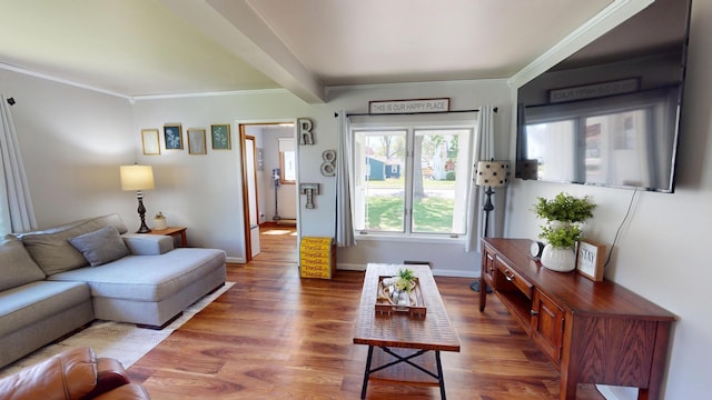 living room with wood finished floors, crown molding, baseboards, and a baseboard heating unit