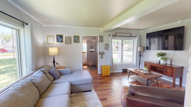 living room featuring wood finished floors and ornamental molding