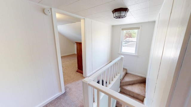 hallway featuring carpet floors