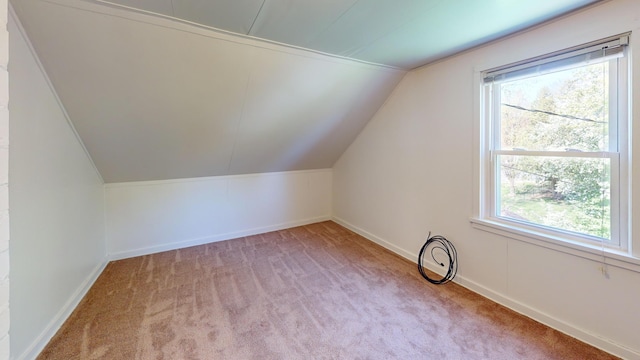 additional living space featuring carpet floors, vaulted ceiling, plenty of natural light, and baseboards