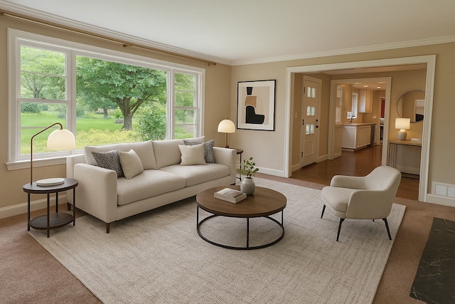 6617 Normandale Rd, Edina, MN 55435 - living room with ornamental molding, baseboards, and dark colored carpet