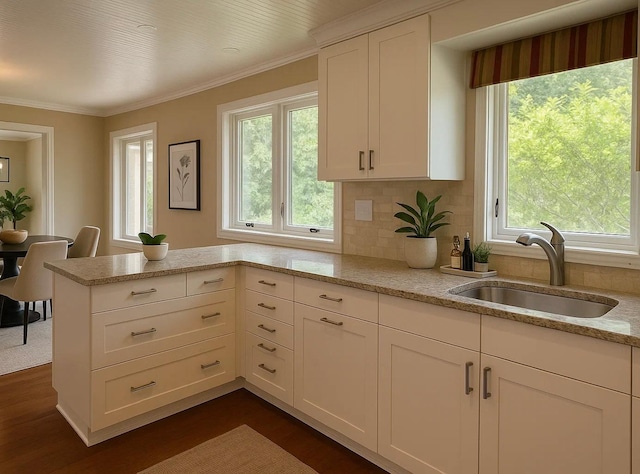 6617 Normandale Rd, Edina, MN 55435 - kitchen featuring a sink, healthy amount of natural light, dark wood finished floors, and crown molding