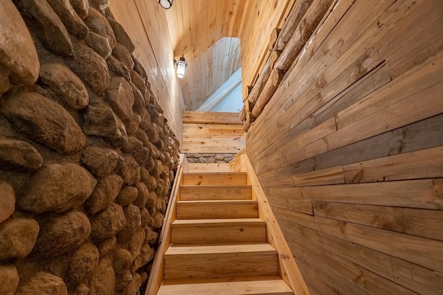 staircase with wood walls