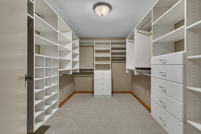 1108 Oak Pond Dr, Sartell, MN 56377 - walk in closet featuring carpet flooring